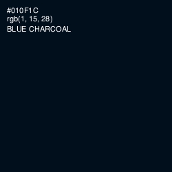 #010F1C - Blue Charcoal Color Image